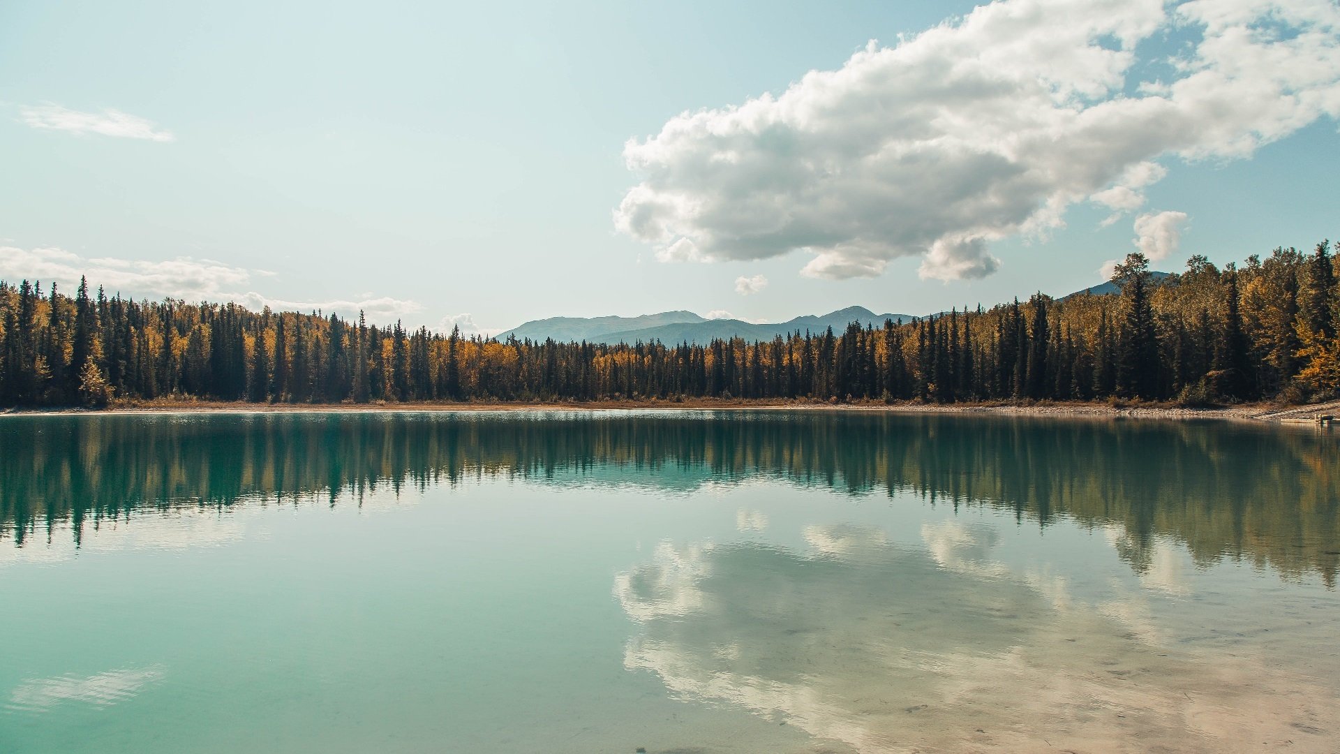 跨界战神!德里赫特生死战接管西决,同一夜巴西正面绞杀爱尔兰