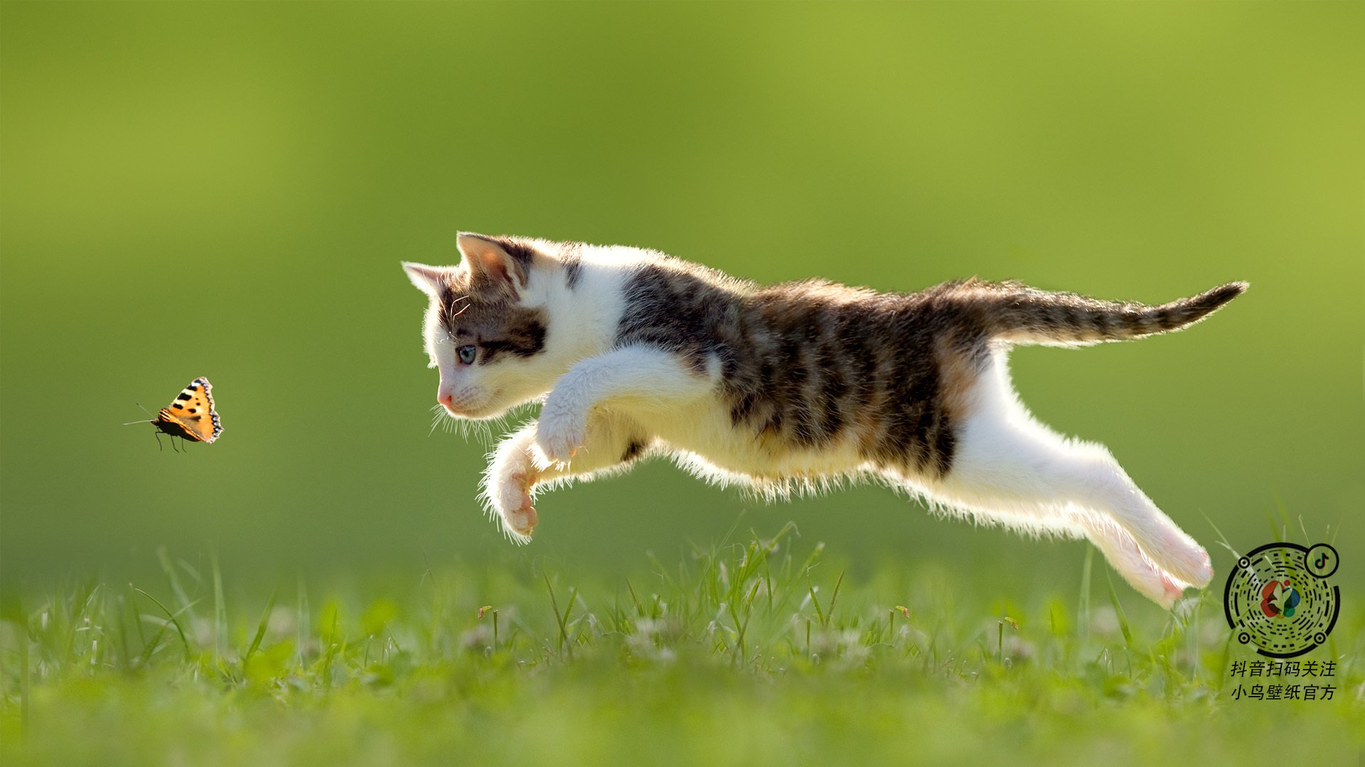 老鹰振翅,字母哥驭风,当篮球的统治力驶入F1赛道