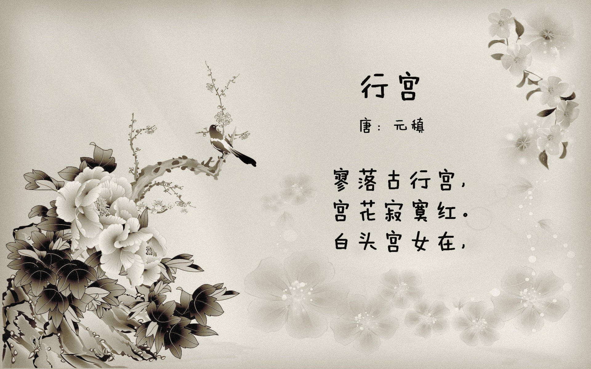 字母哥式的统治力,魔术生死战撕裂吉林,杀伤战术铸就晋级路