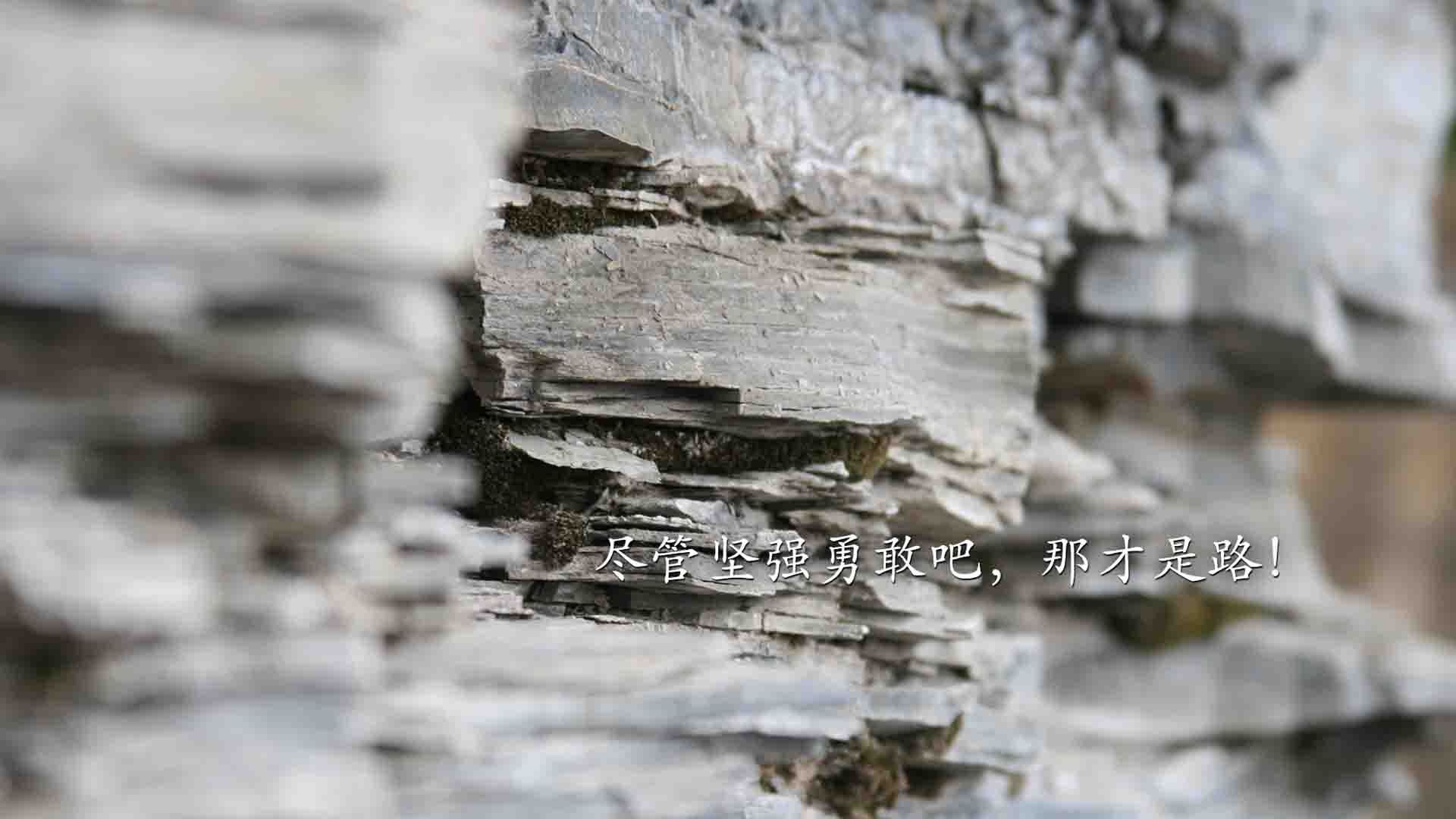 深流，圣安东尼奥之矛刺穿历史，达拉斯之弦拨动未来