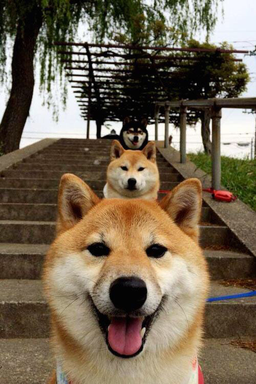 银色闪电撕裂蓝黑铁幕,弗拉霍维奇爆发,雷恩绿茵战车强势碾过国际米兰