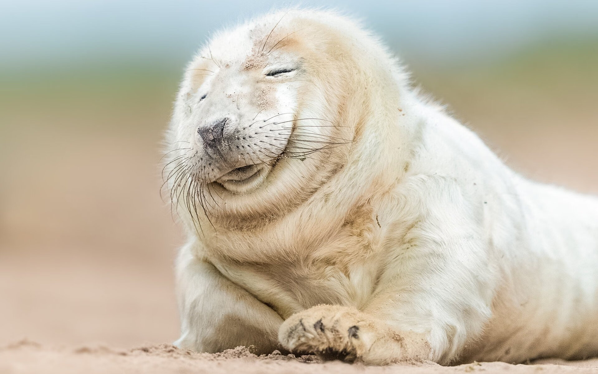 西决的血战与瑞典的横扫—竞技体育的两种极致美学