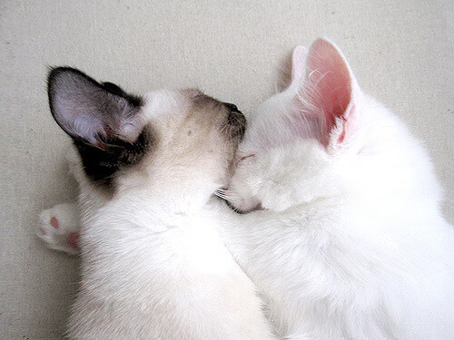 勇士爆冷爵士，原来是为两年半后他在世界杯接管比赛埋下的伏笔