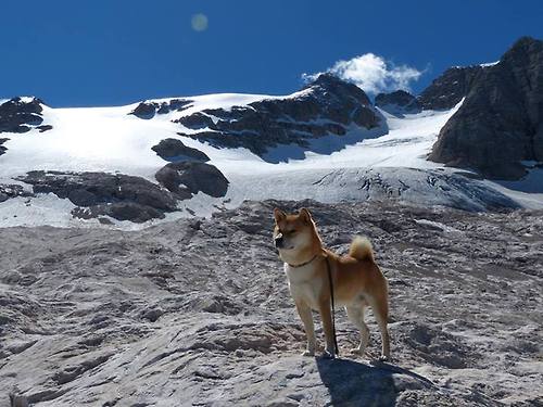 当东契奇时刻遇见国王时间,关键球如何改变比赛流向