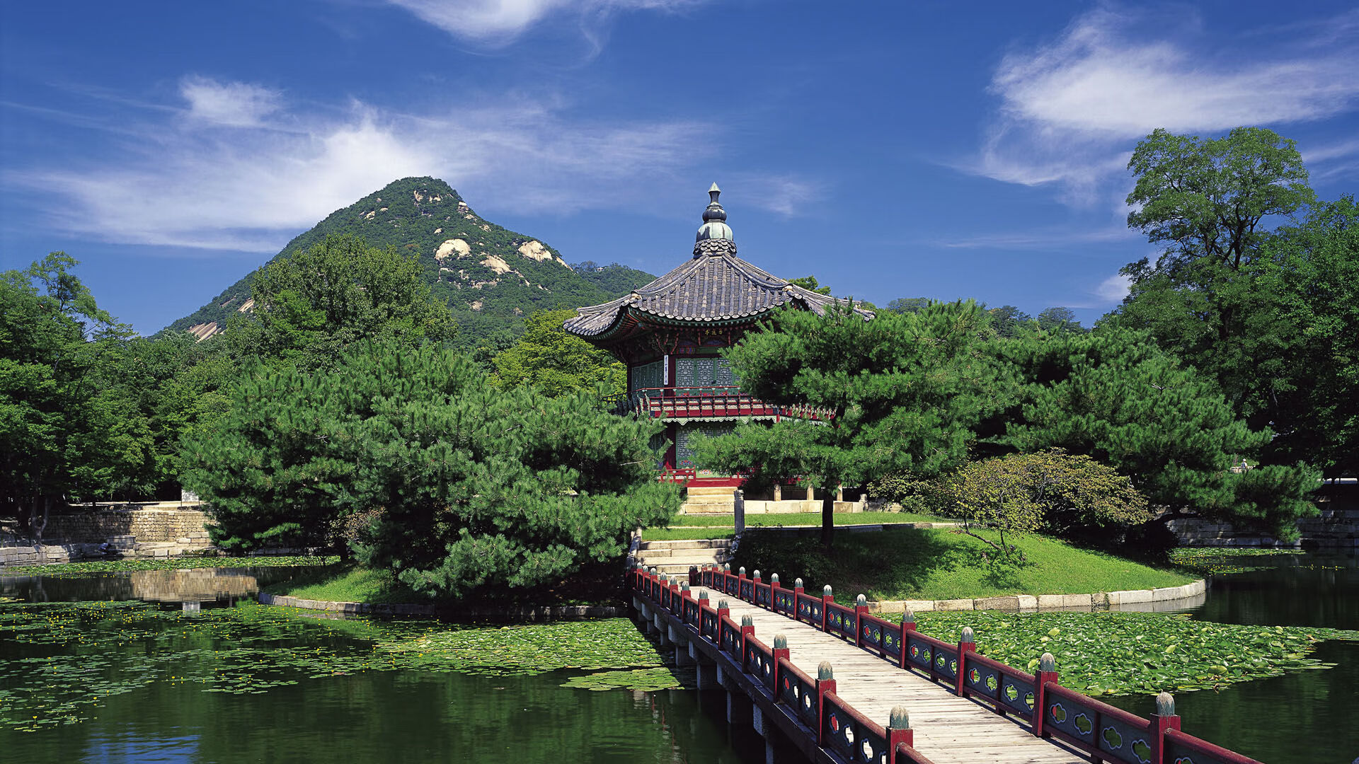 新王已立,当约基奇全程高能输出,灰熊单节拉开广东队的那一刻,篮球完成了无情交替