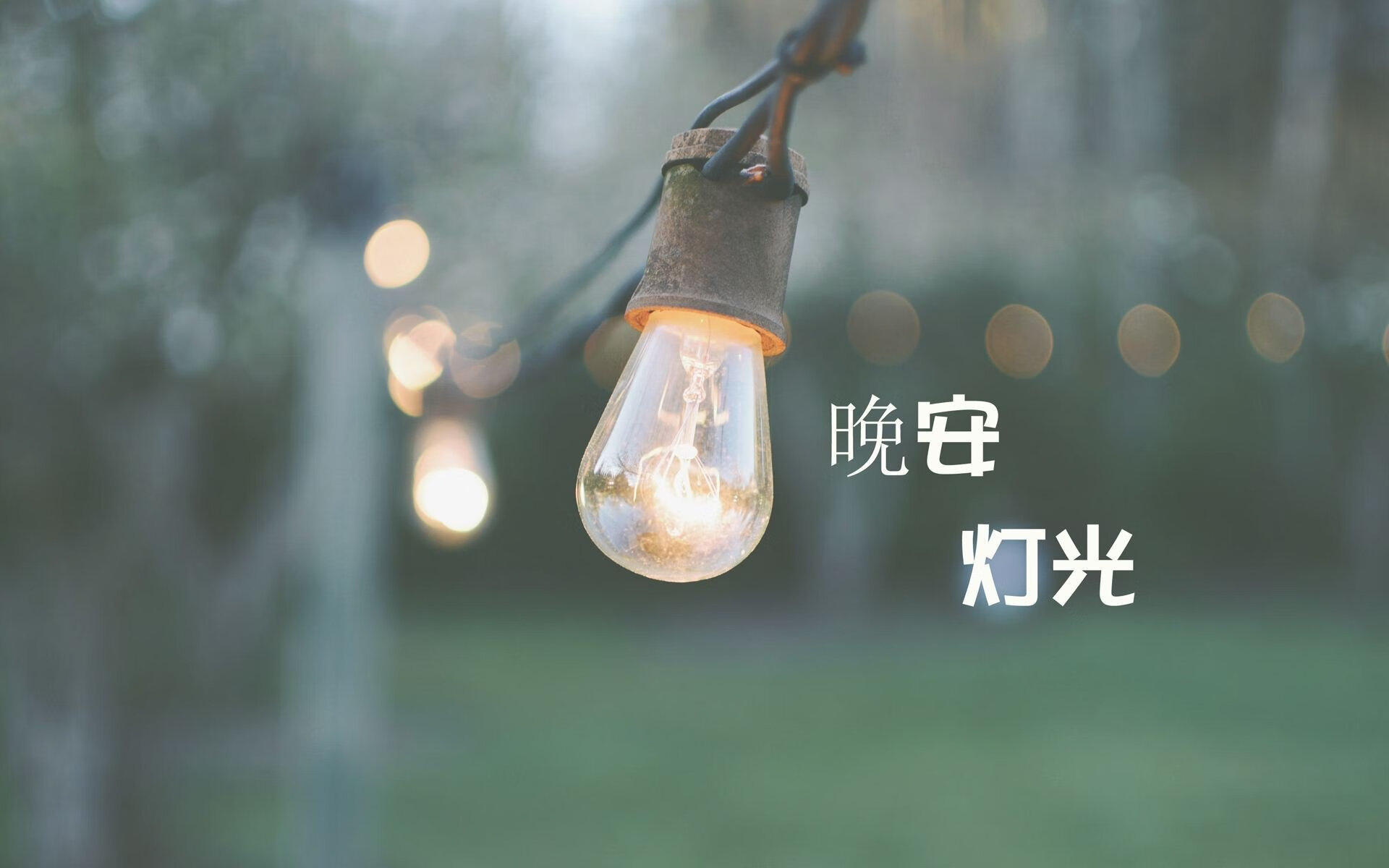沙漠绿洲的黄昏,当坎塞洛的弧线撕破阿联酋铁幕,瑞典绝杀刻入世界杯史诗
